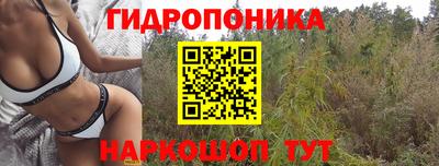 амф Гусиноозёрск