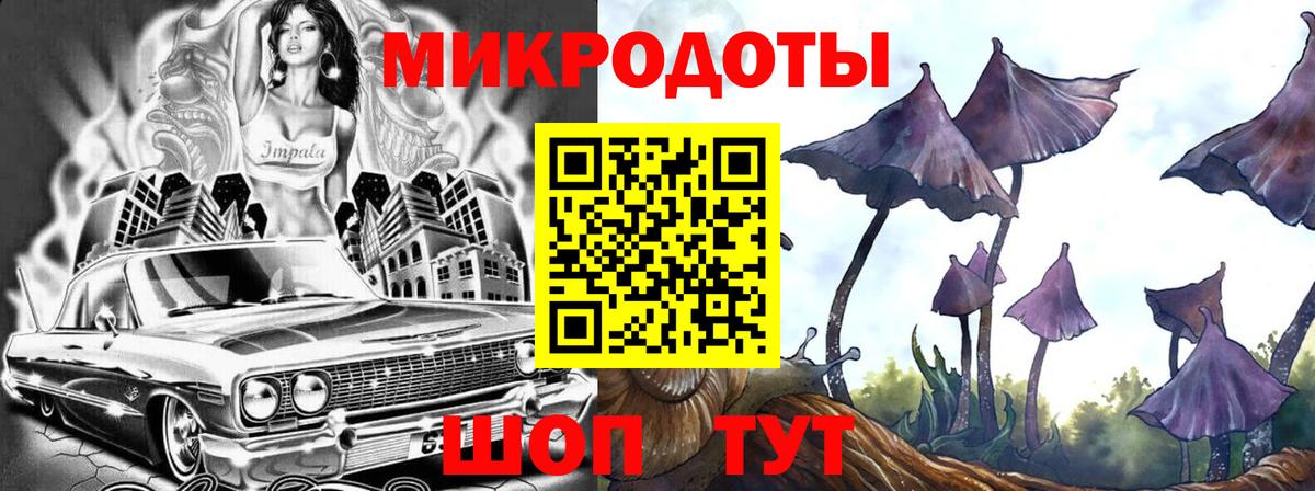 Псилоцибиновые грибы Psilocybe  Вход с VPN  Миллерово 