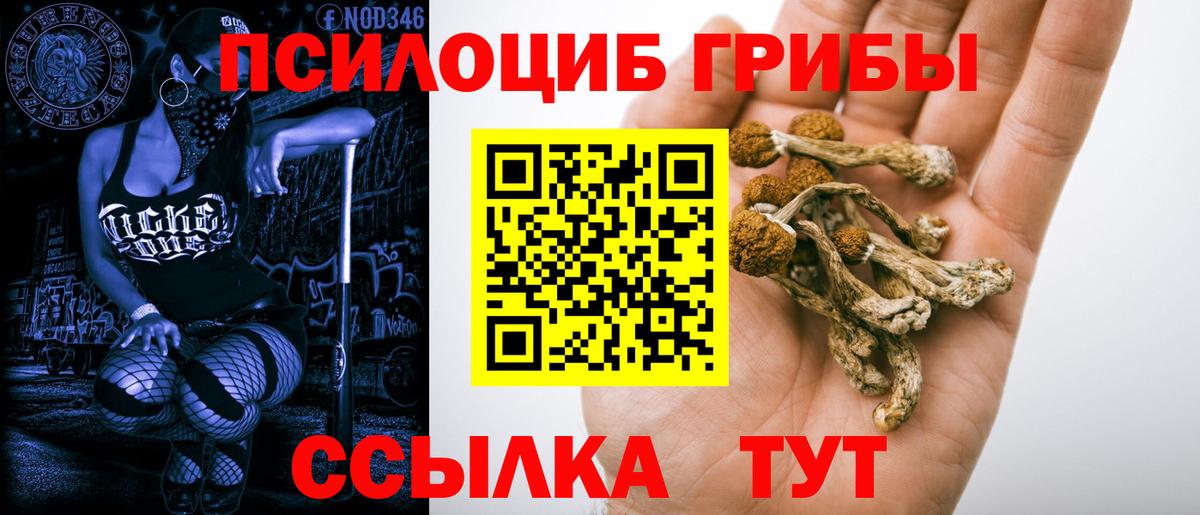 Галлюциногенные грибы GOLDEN TEACHER Миллерово